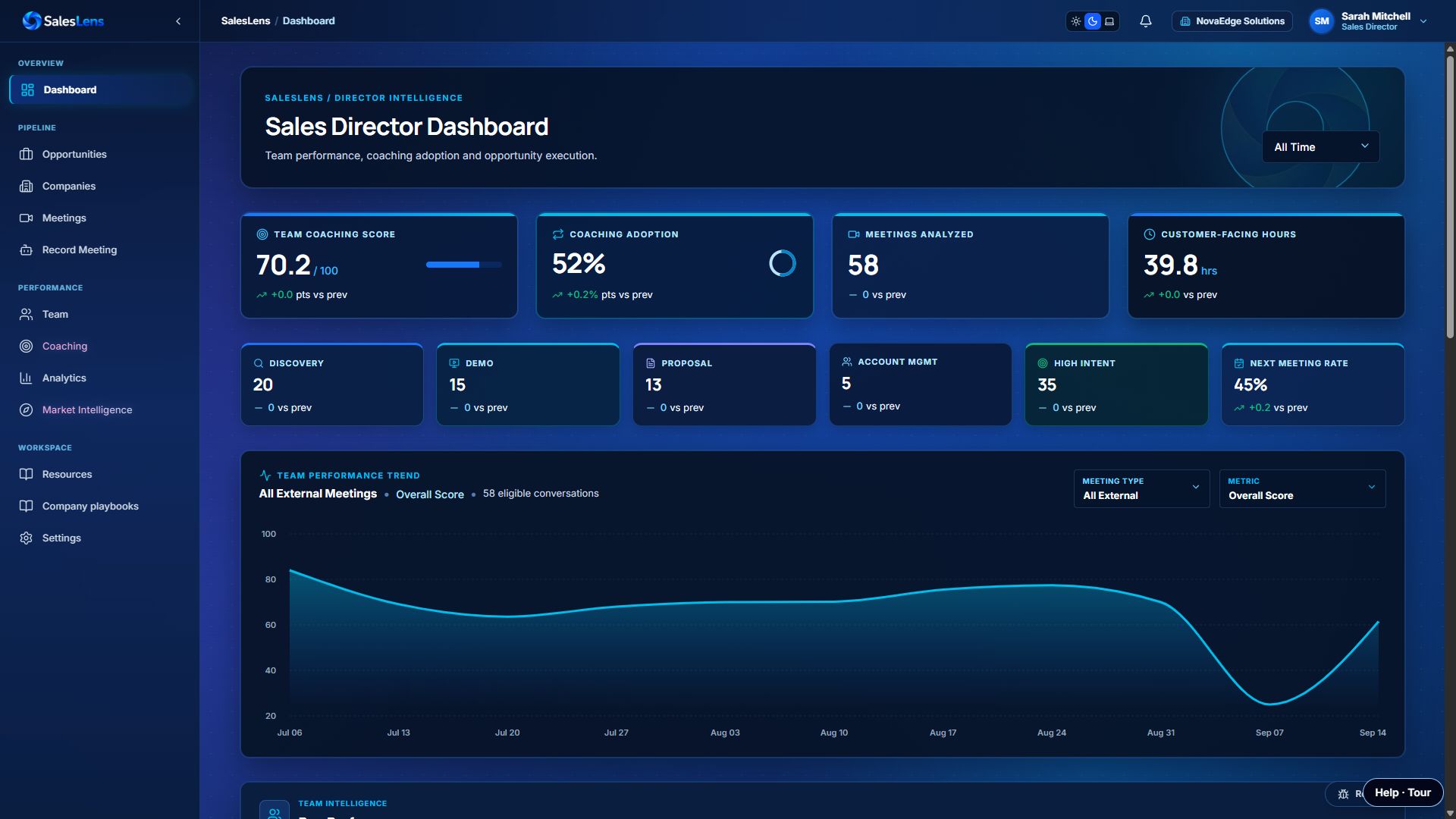 Real SalesLens dashboard screen with demonstration data